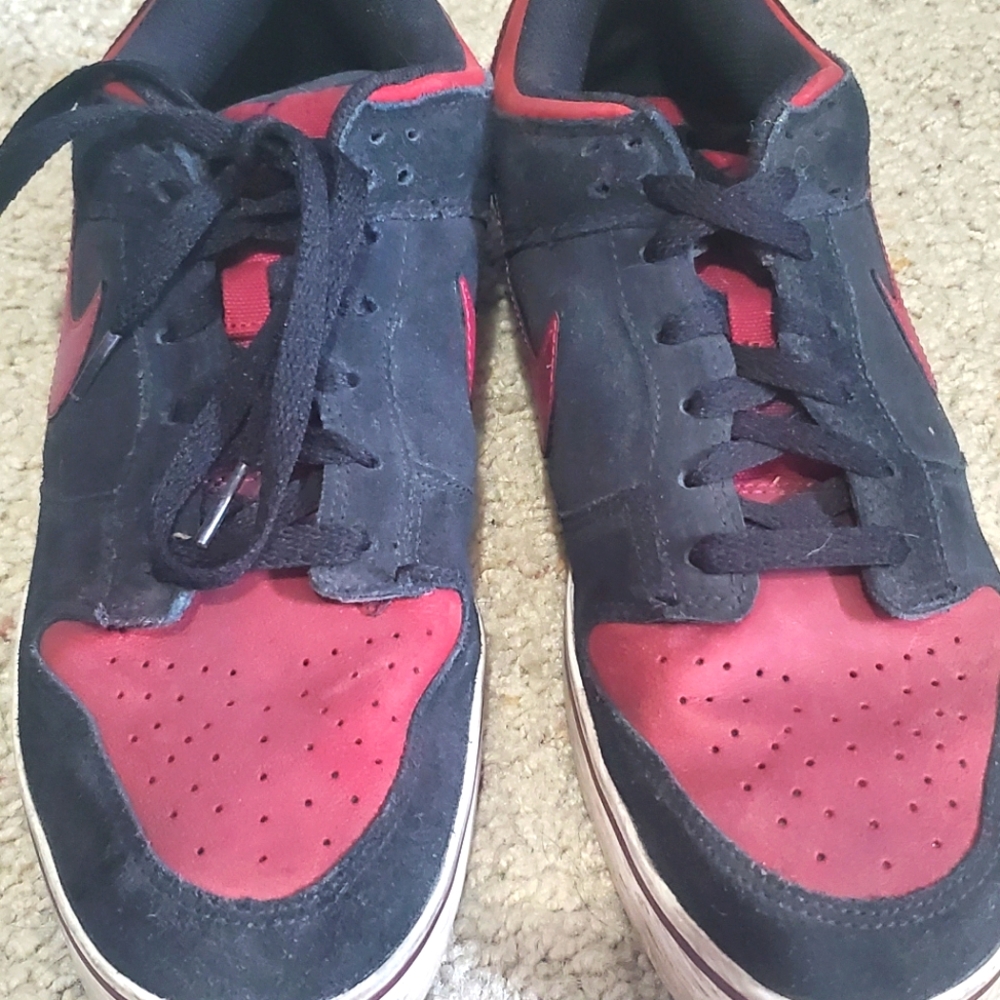 Nike Mens' Dunk SE Low